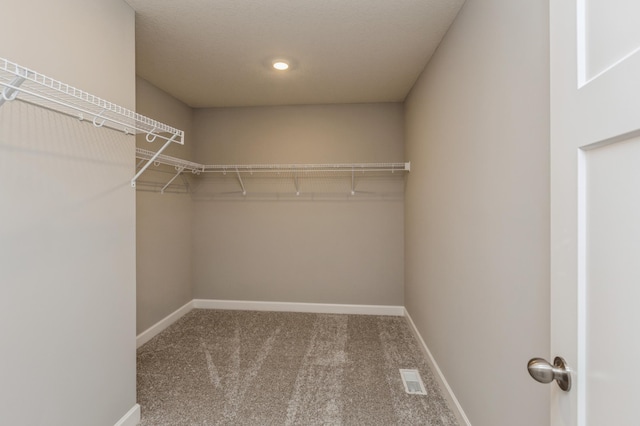 1549 143rd St E, Rosemount, MN 55068 - walk in closet featuring carpet flooring