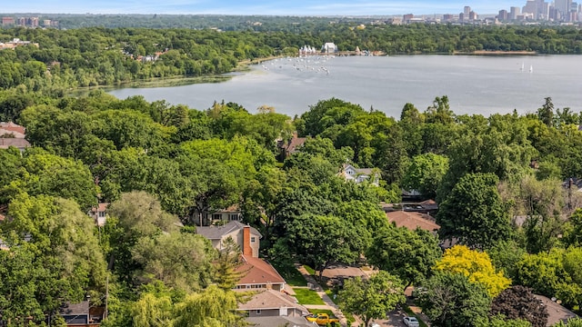 4922 Sheridan Ave S, Minneapolis, MN 55410 - bird's eye view of a large body of water and a forest