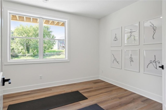 workout room featuring plenty of natural light, wood finished floors, and baseboards
