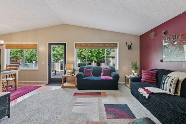 20561 Jade Cir, Lakeville, MN 55044 - living area with vaulted ceiling, healthy amount of natural light, baseboards, a textured ceiling, and carpet floors