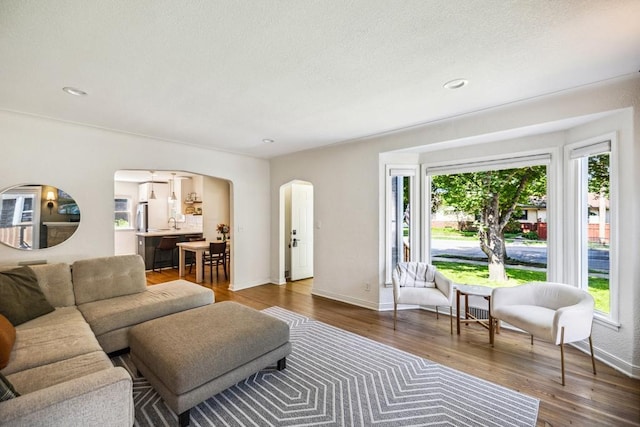 1372 Victoria St N, Saint Paul, MN 55117 - living room featuring arched walkways, healthy amount of natural light, baseboards, wood finished floors, and recessed lighting