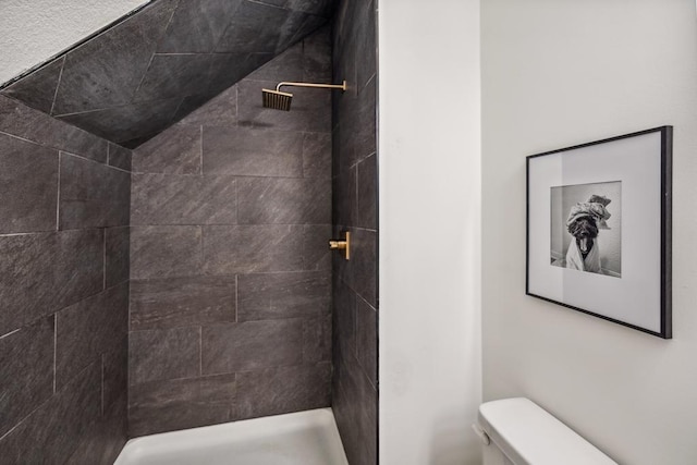 1372 Victoria St N, Saint Paul, MN 55117 - bathroom with toilet and a tile shower