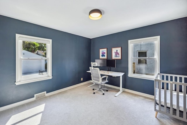 1372 Victoria St N, Saint Paul, MN 55117 - office featuring carpet and baseboards