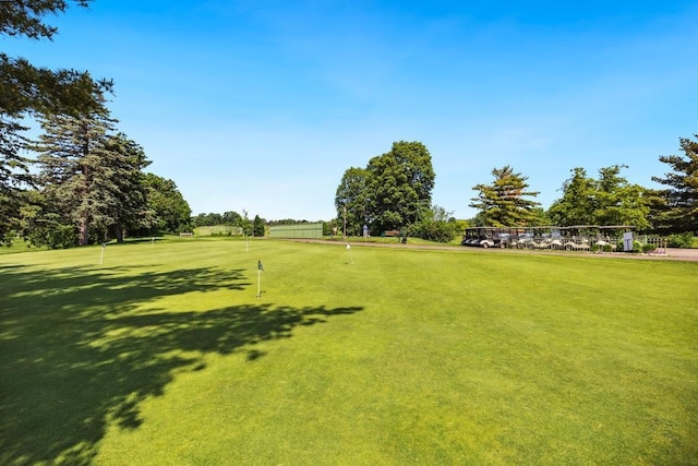 1372 Victoria St N, Saint Paul, MN 55117 - view of property's community featuring an area to practice putting