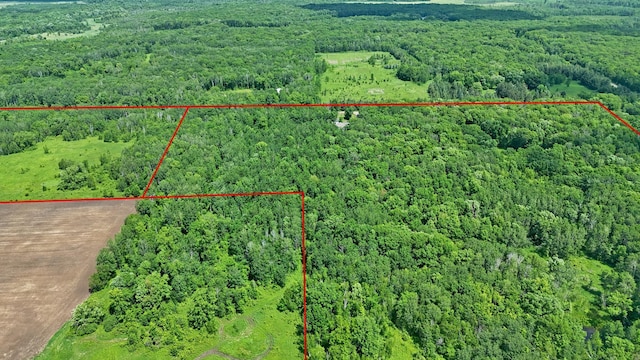 10255 230th St, Milaca, MN 56353 - photo 94
