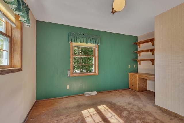 12063 Zebulon Shores Dr, Little Falls Twp, MN 56345 - photo 27