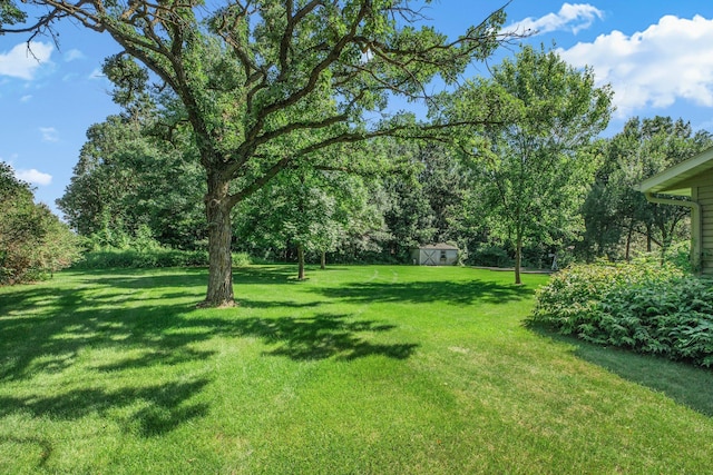 12063 Zebulon Shores Dr, Little Falls Twp, MN 56345 - photo 40