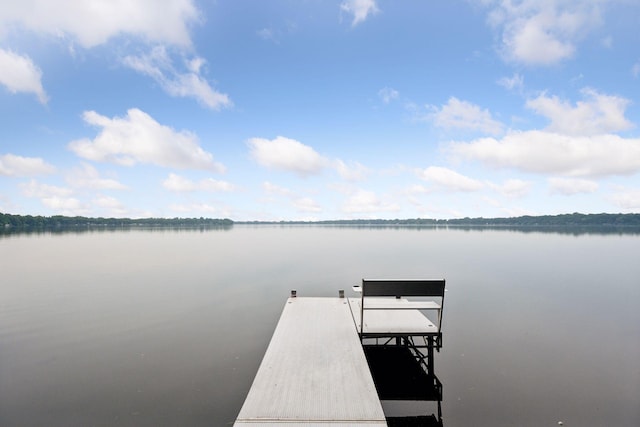 3886 Eagle Rd, Willmar, MN 56201 - dock with a water view