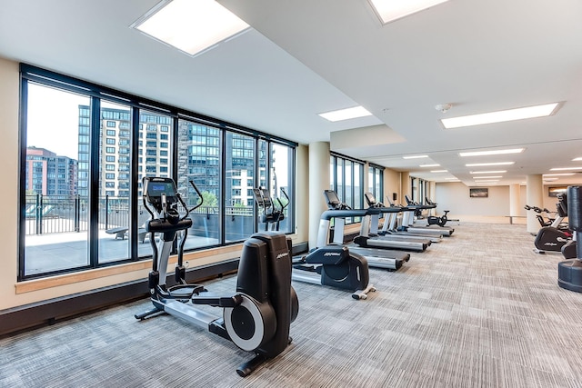1240 2nd St Unit 1120, Minneapolis, MN 55415 - gym featuring carpet floors