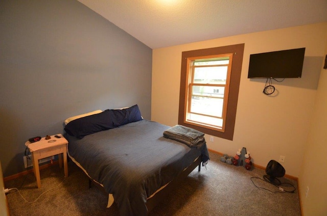 12207 285th St, Lindstrom, MN 55045 - carpeted bedroom with vaulted ceiling and baseboards