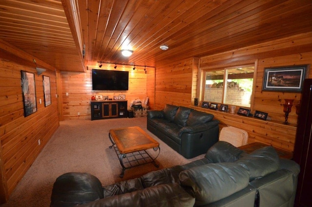 12207 285th St, Lindstrom, MN 55045 - living area featuring wood walls, wooden ceiling, and carpet floors