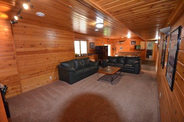 12207 285th St, Lindstrom, MN 55045 - carpeted living room featuring wood walls and wood ceiling