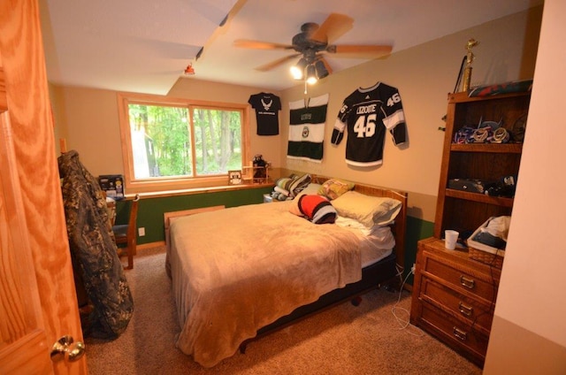 12207 285th St, Lindstrom, MN 55045 - carpeted bedroom with ceiling fan