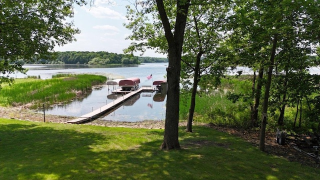 12207 285th St, Lindstrom, MN 55045 - water view with a dock