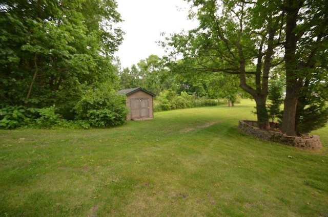 12207 285th St, Lindstrom, MN 55045 - view of grassy yard with a shed