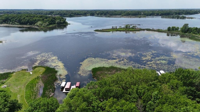 12207 285th St, Lindstrom, MN 55045 - drone / aerial view of a nearby body of water and a forest