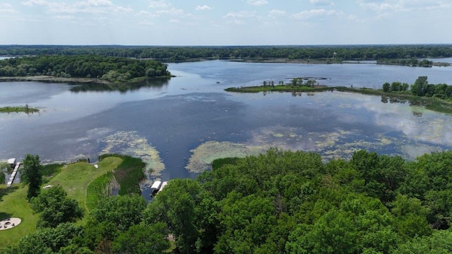 12207 285th St, Lindstrom, MN 55045 - bird's eye view of a large body of water and a heavily wooded area