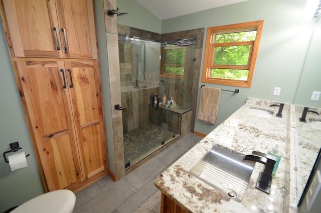 12207 285th St, Lindstrom, MN 55045 - bathroom with double vanity, a stall shower, lofted ceiling, and tile patterned floors