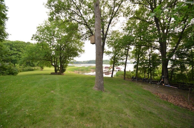 12207 285th St, Lindstrom, MN 55045 - view of grassy yard with a water view