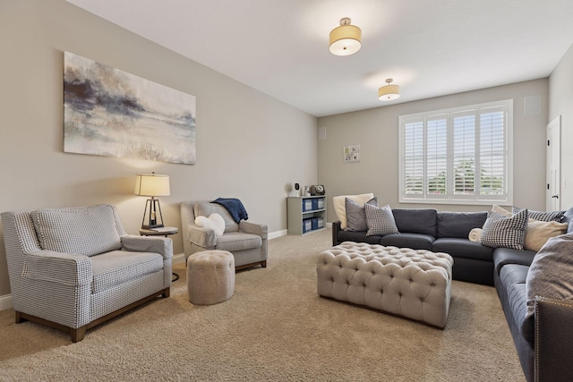 11668 Azure Ct, Inver Grove Heights, MN 55077 - living room with carpet floors and baseboards