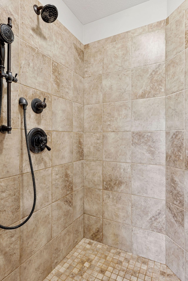 11668 Azure Ct, Inver Grove Heights, MN 55077 - bathroom with a tile shower