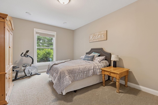 11668 Azure Ct, Inver Grove Heights, MN 55077 - bedroom featuring carpet floors