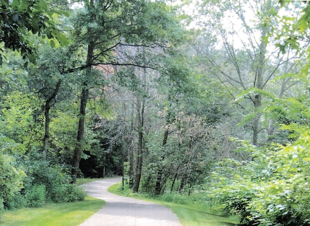 11668 Azure Ct, Inver Grove Heights, MN 55077 - view of asphalt street with a forest view