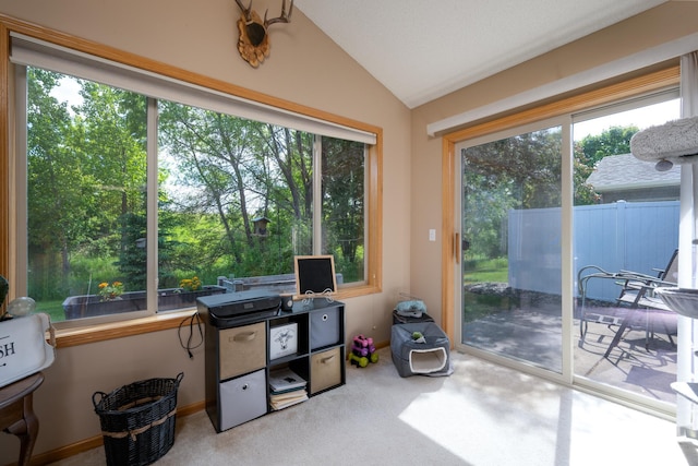 812 Plum Tree Ln, Somerset, WI 54025 - office space featuring plenty of natural light, vaulted ceiling, carpet floors, and view of scattered trees