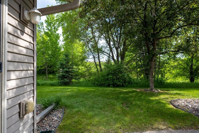812 Plum Tree Ln, Somerset, WI 54025 - view of grassy yard with view of scattered trees