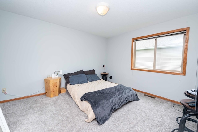 1406 English Ave NW, New Prague, MN 56071 - carpeted bedroom with baseboards