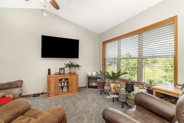 924 Mallard Ln, Belle Plaine, MN 56011 - photo 9