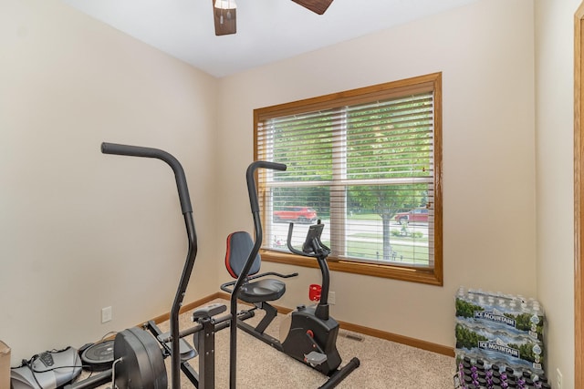 924 Mallard Ln, Belle Plaine, MN 56011 - photo 15