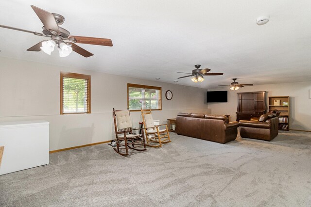 924 Mallard Ln, Belle Plaine, MN 56011 - photo 19