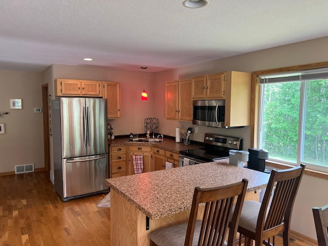 6460 Mountain Maple Ln NW, Walker, MN 56484 - kitchen featuring stainless steel appliances, a kitchen bar, a sink, light wood-style floors, and recessed lighting