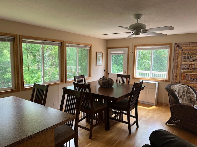 6460 Mountain Maple Ln NW, Walker, MN 56484 - dining area with healthy amount of natural light, light wood-style flooring, a ceiling fan, and a textured ceiling