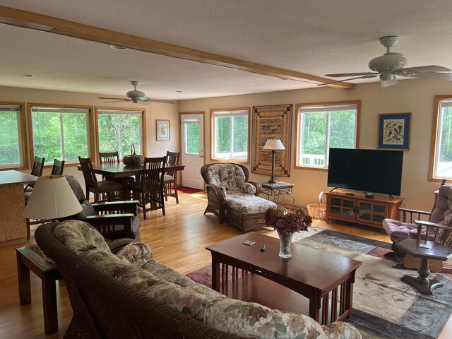 6460 Mountain Maple Ln NW, Walker, MN 56484 - living area with a ceiling fan, light wood-style floors, beamed ceiling, healthy amount of natural light, and a textured ceiling