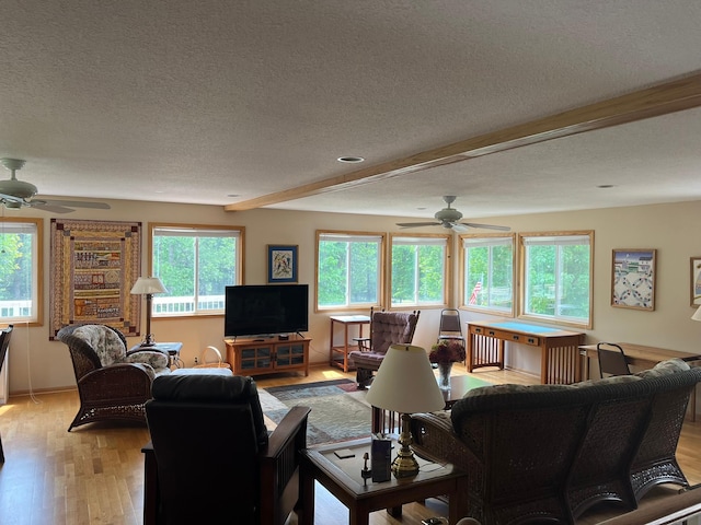 6460 Mountain Maple Ln NW, Walker, MN 56484 - living room featuring ceiling fan, a textured ceiling, light wood-style flooring, and beam ceiling