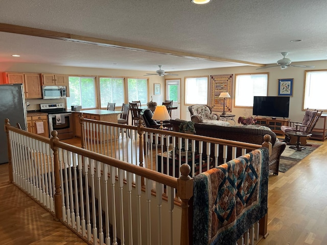 6460 Mountain Maple Ln NW, Walker, MN 56484 - living room with a textured ceiling, a ceiling fan, light wood finished floors, and recessed lighting