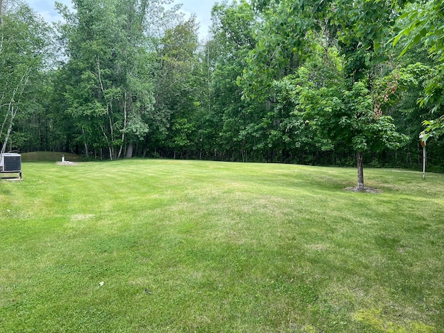 6460 Mountain Maple Ln NW, Walker, MN 56484 - view of green lawn with central AC unit and a forest view