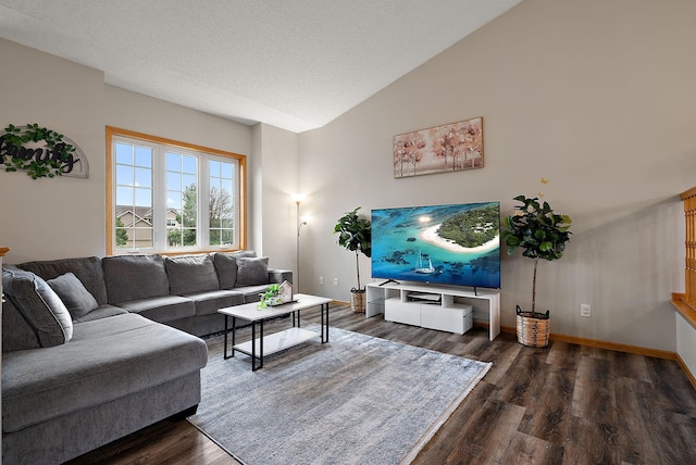 7331 Lamont Ave NE, Otsego, MN 55301 - living area with wood finished floors and lofted ceiling