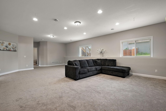 7331 Lamont Ave NE, Otsego, MN 55301 - living area with carpet floors and recessed lighting