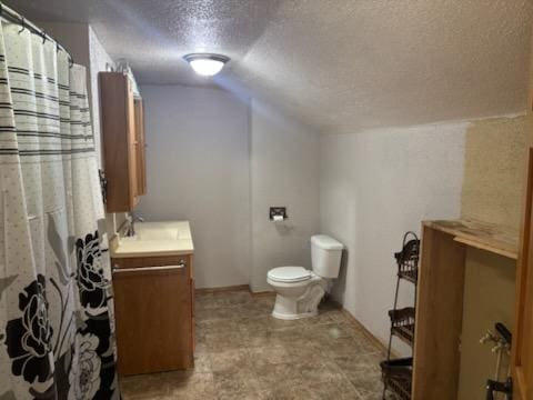 664 12th St, Windom, MN 56101 - bathroom featuring lofted ceiling, a textured ceiling, vanity, toilet, and curtained shower
