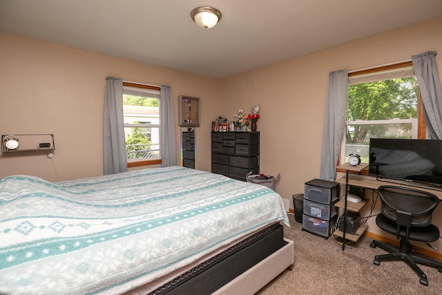 303 2nd St, Lyle, MN 55953 - photo 14