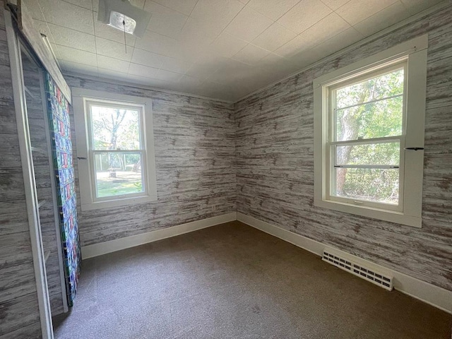 810 Charles St, Park Rapids, MN 56470 - empty room featuring carpet and baseboards