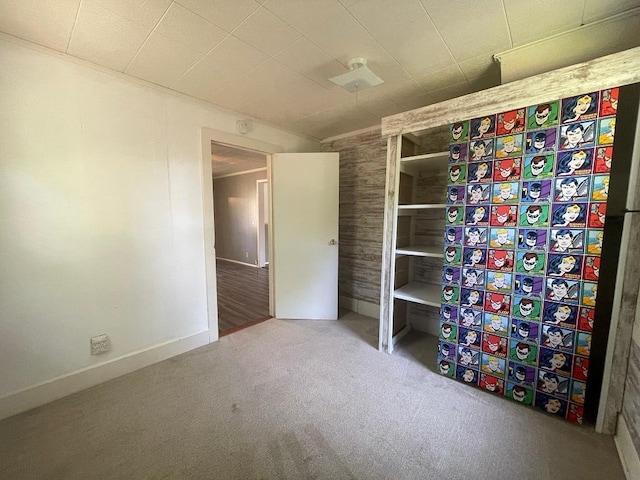 810 Charles St, Park Rapids, MN 56470 - unfurnished bedroom featuring carpet and baseboards