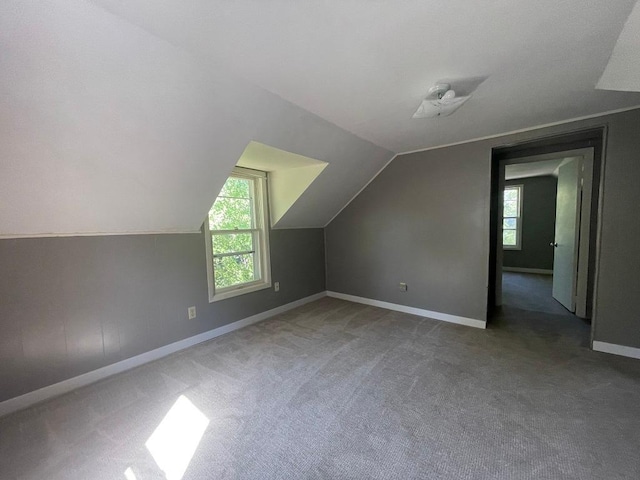 810 Charles St, Park Rapids, MN 56470 - additional living space with carpet floors, healthy amount of natural light, baseboards, and vaulted ceiling