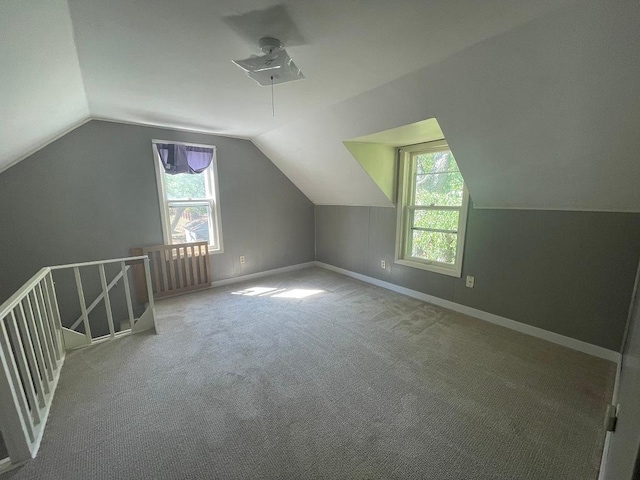 810 Charles St, Park Rapids, MN 56470 - bonus room with healthy amount of natural light, vaulted ceiling, carpet floors, and baseboards