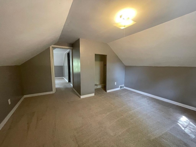 810 Charles St, Park Rapids, MN 56470 - additional living space with lofted ceiling, light colored carpet, and baseboards
