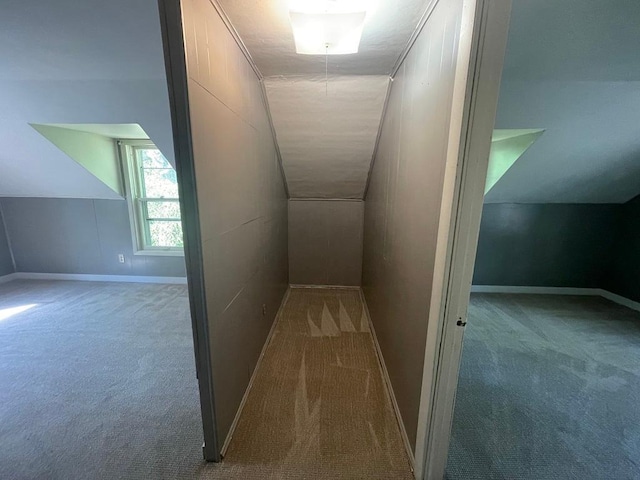 810 Charles St, Park Rapids, MN 56470 - corridor with carpet, vaulted ceiling, and baseboards