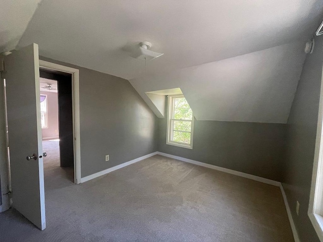 810 Charles St, Park Rapids, MN 56470 - additional living space with lofted ceiling, baseboards, and carpet floors